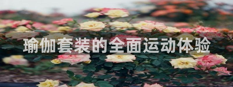 tp官方正版app神州：瑜伽套装的全面运动体验