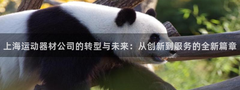 tp官方正版app集团简介：上海运动器材公司的转型与未来：从