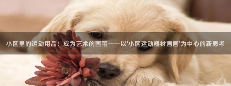 tpwallet官网下载注册：小区里的运动用品：成为