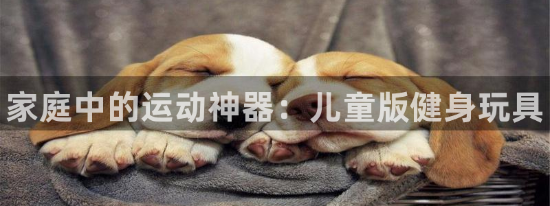 tp官方正版app娱乐是那个系列的台子：家庭中的运动