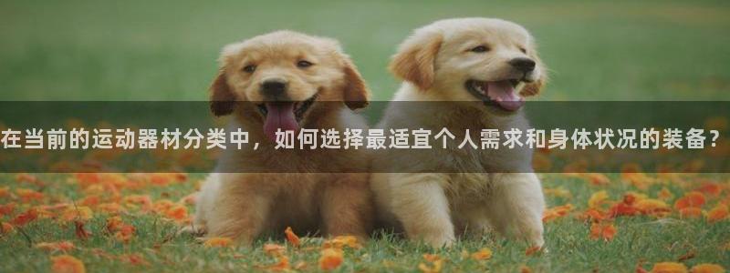 tp官方正版app开户：在当前的运动器材分类中，如何选择最适