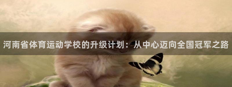 哈哈体育十年