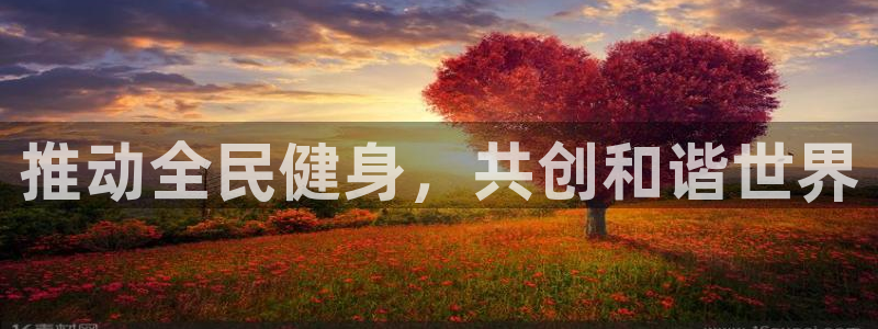 哈哈体育下载