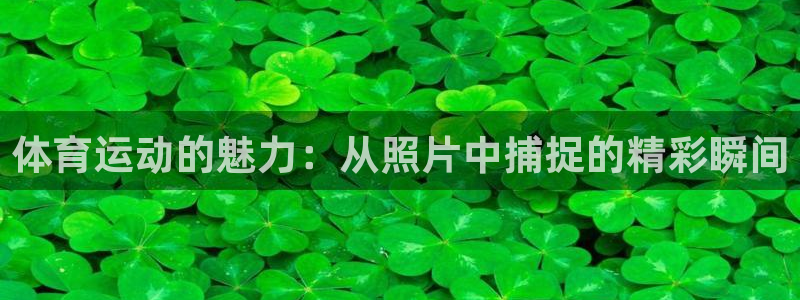 哈哈体育