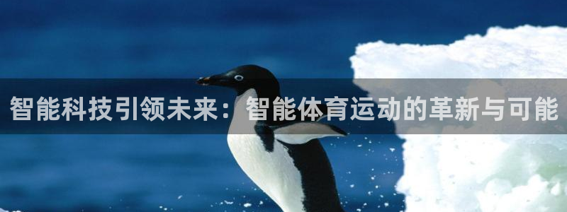 哈哈体育下载