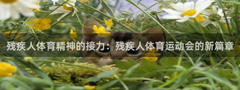 哈哈体育下载