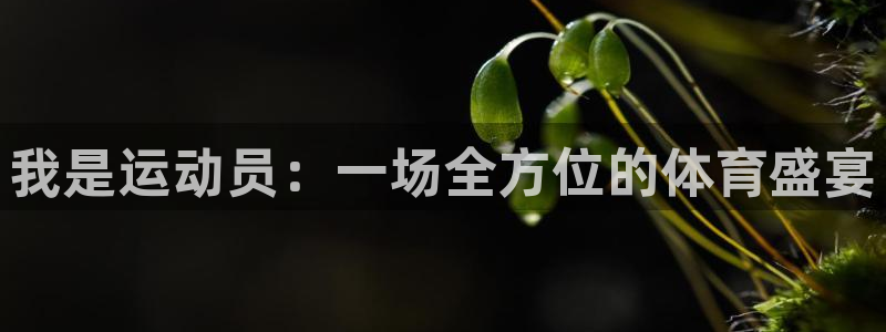 哈哈体育下载：我是运动员：一场全方位的体育盛宴