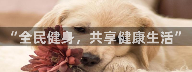 哈哈体育