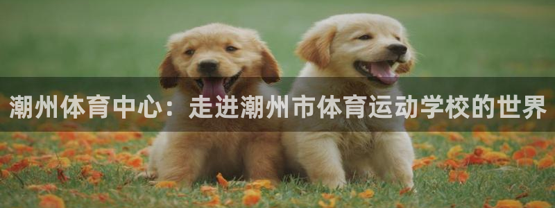 哈哈体育十年：潮州体育中心：走进潮州市体育运动学校的世界