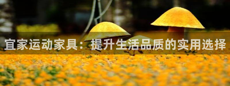 tpwallet官网下载招商电话号码查询是多少：宜家