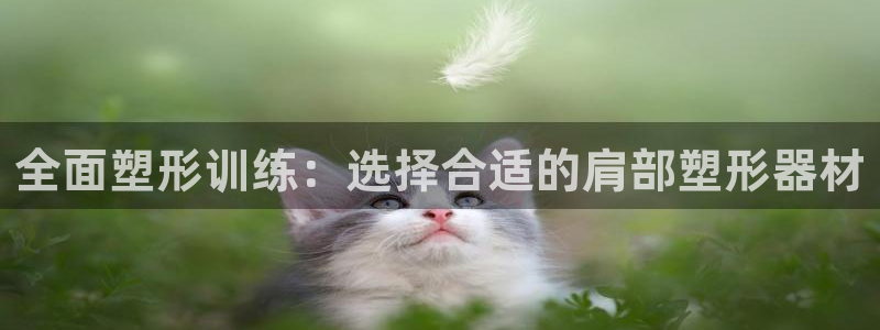 tpwallet官网下载是干嘛的公司：全面塑形训练：选择合适